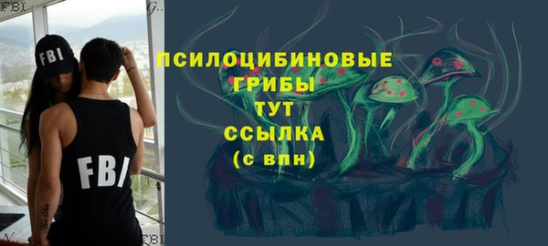дурь Алексин