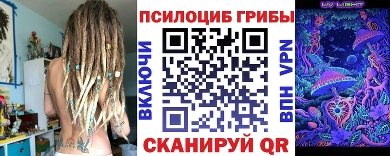 Псилоцибиновые грибы Psilocybine cubensis  Беслан 